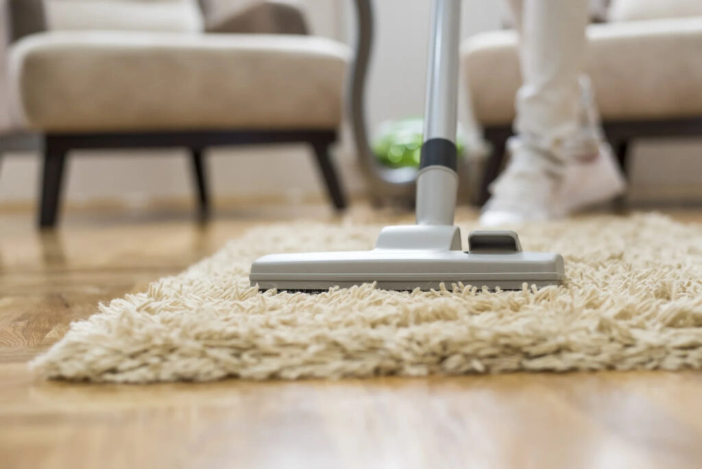Vacuum cleaning shag rug in Sunnyvale CA home