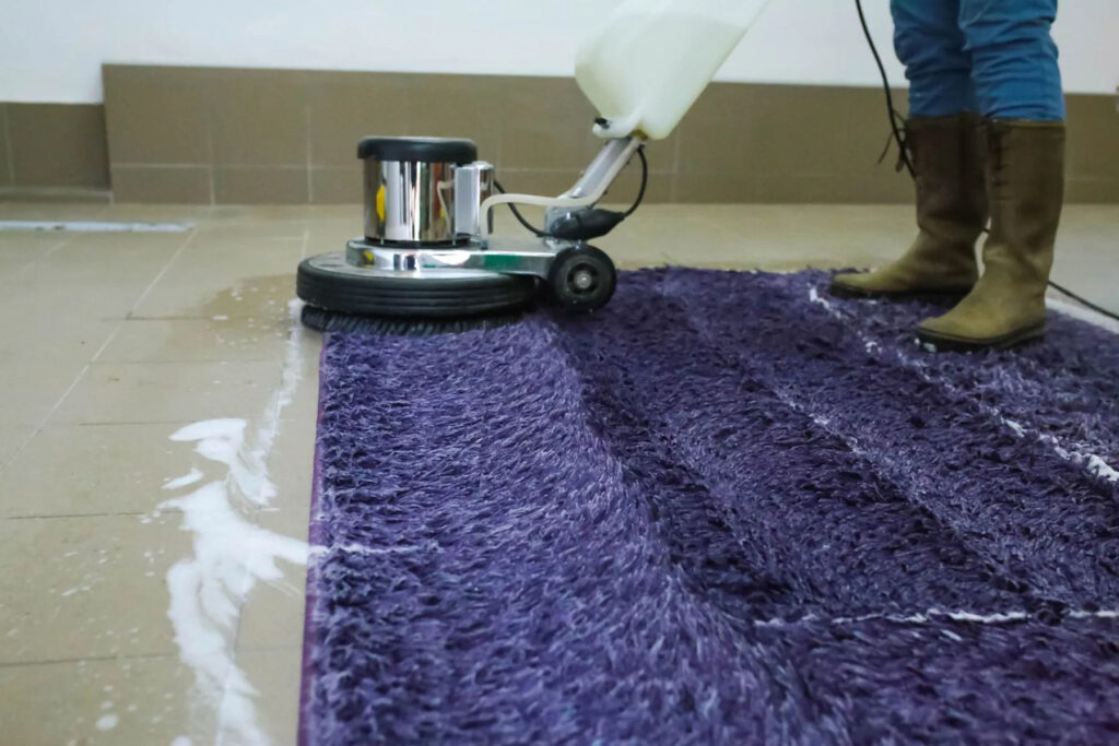 Carpet cleaning San Jose CA technician buffing purple shag rug with rotary machine